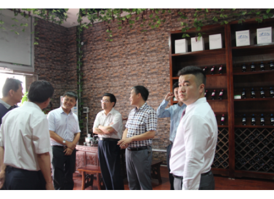 邢臺(tái)市副市長郭旭濤來我公司參觀考察