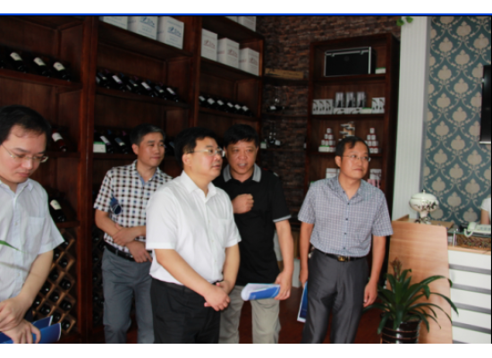 共青團河北省委副書記柴寶良來我公司參觀考察